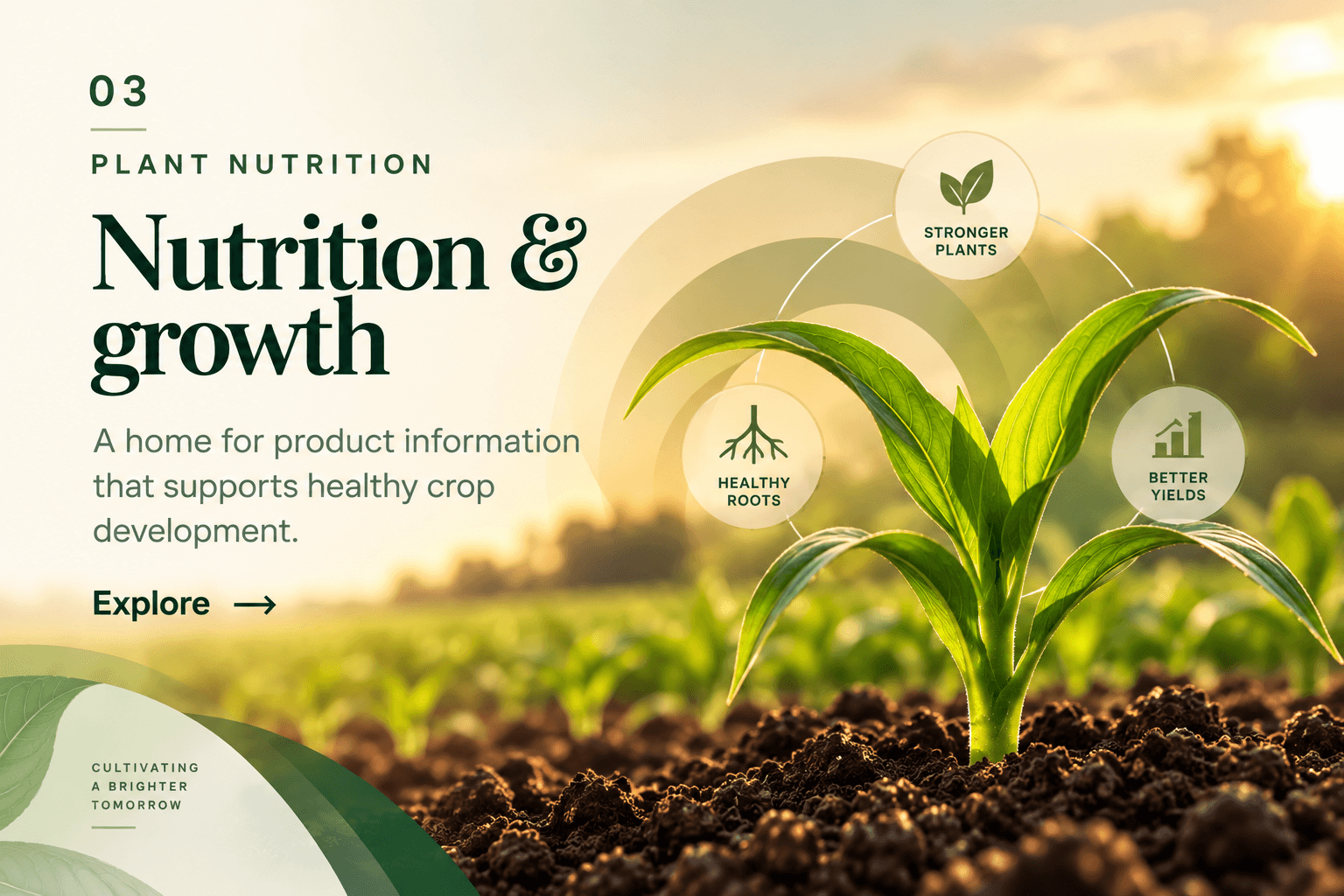 Agricultural crop nutrition