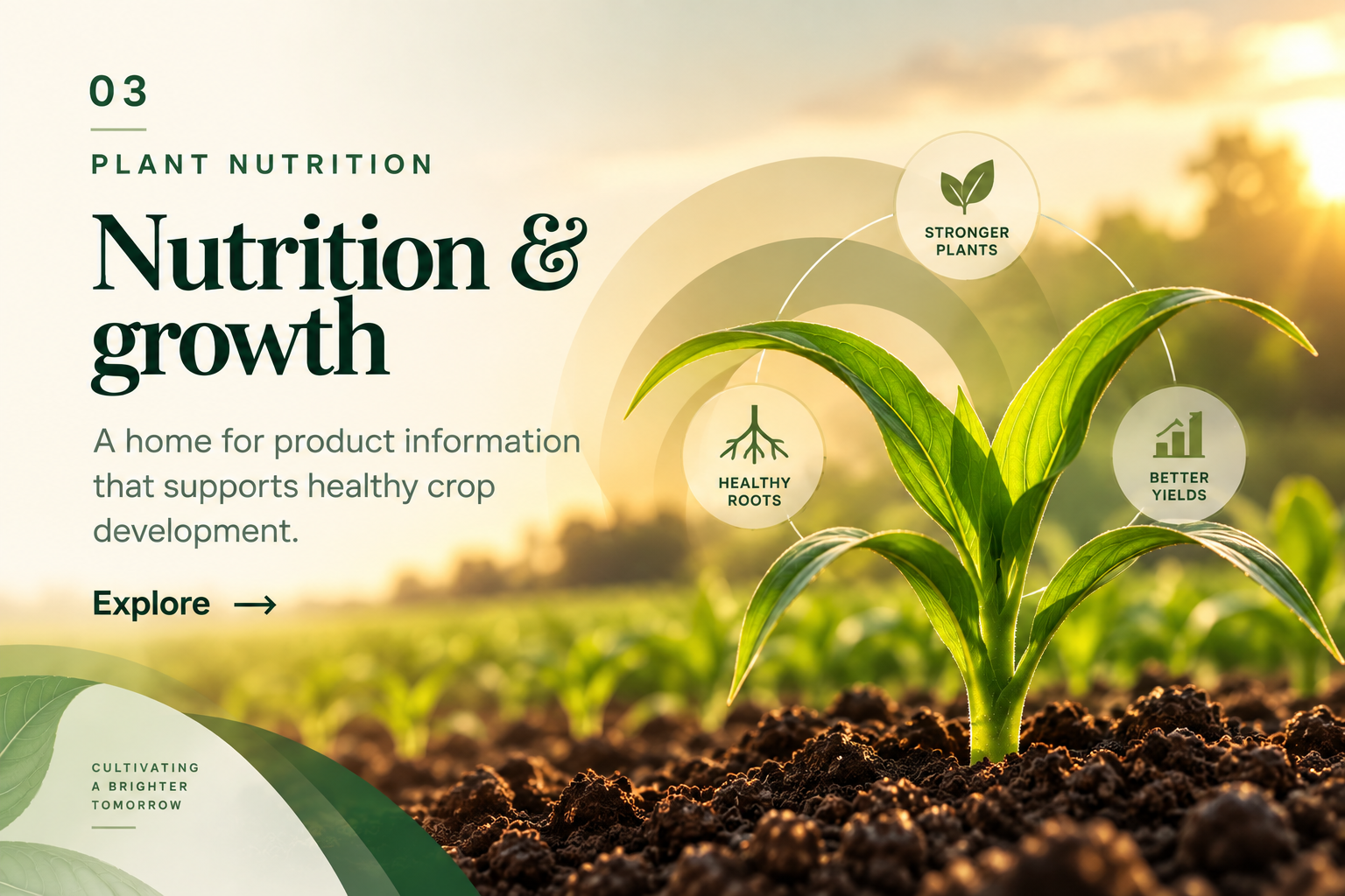 Plant nutrition and growth