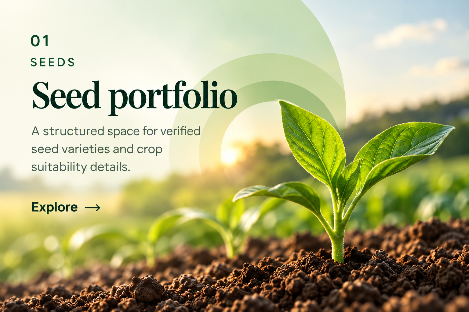 Seed portfolio